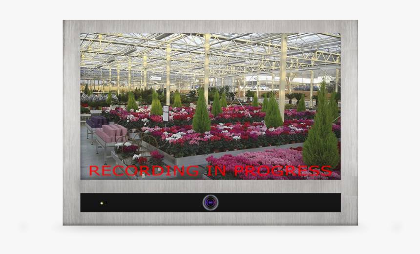 Valerian, HD Png Download