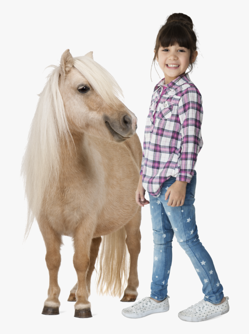 2 Feet Tall Dog, HD Png Download