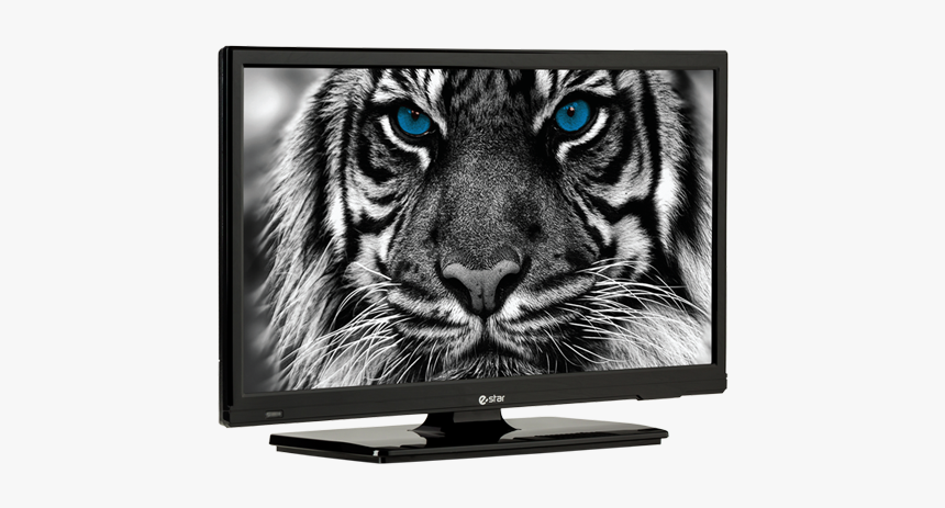32 Estar Hd Led Tv, HD Png Download