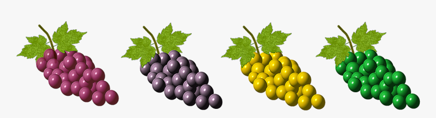 Transparent Grapes Vector Png - Grape, Png Download