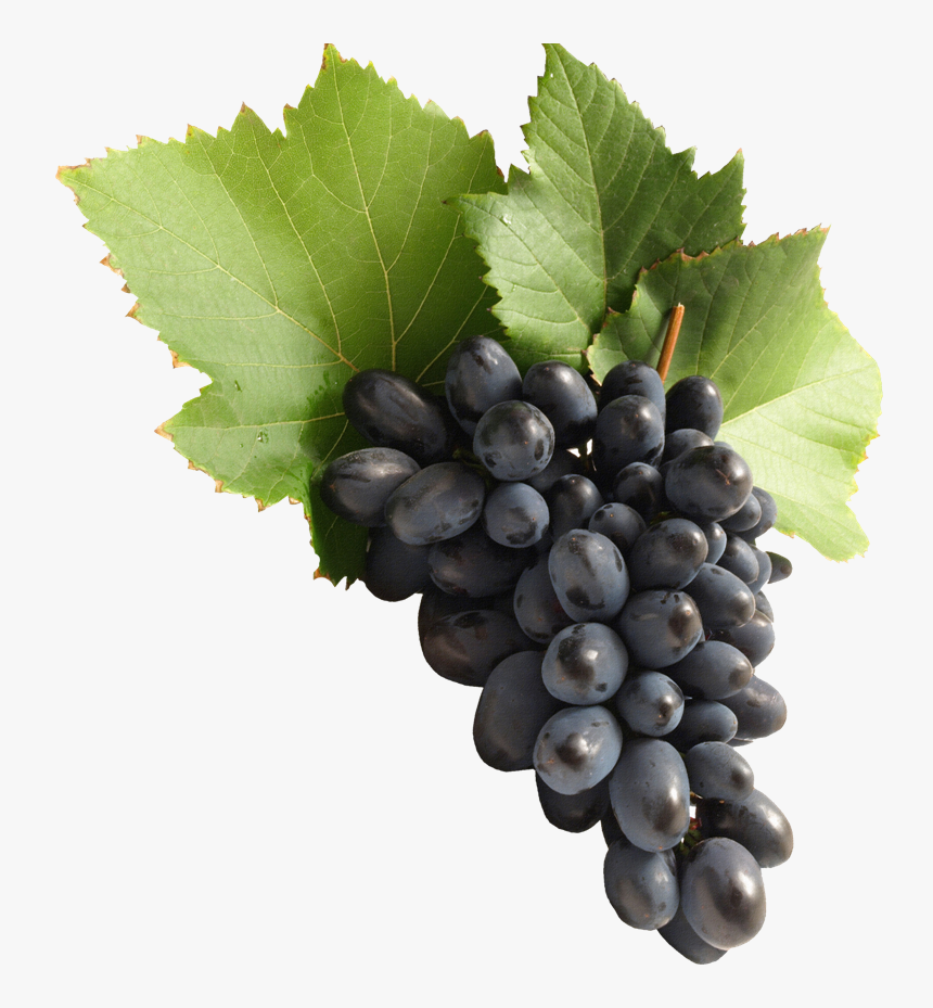 Thumb Image - Grapes Png, Transparent Png