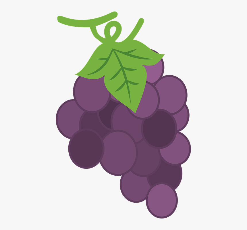 Purple, Purple Grape, Fruit, Food, Healthy, Yellow - Seedless Fruit, HD Png Download