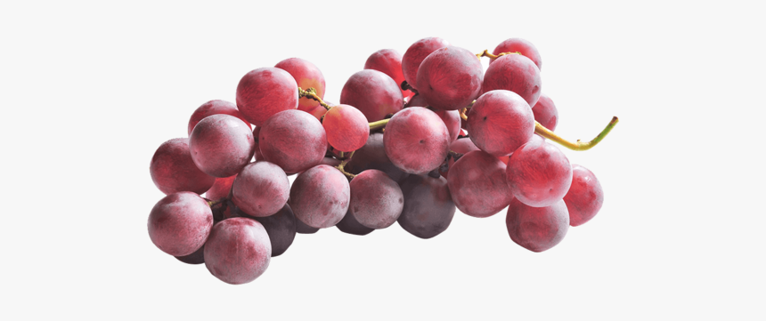 Uva Con Semi Red Globe - Seedless Fruit, HD Png Download