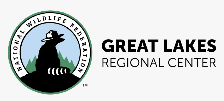 Cat, HD Png Download