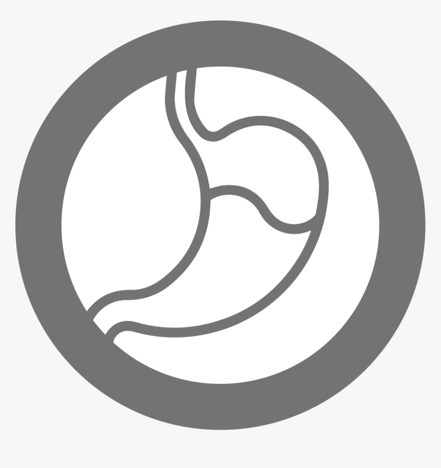 Circle, HD Png Download