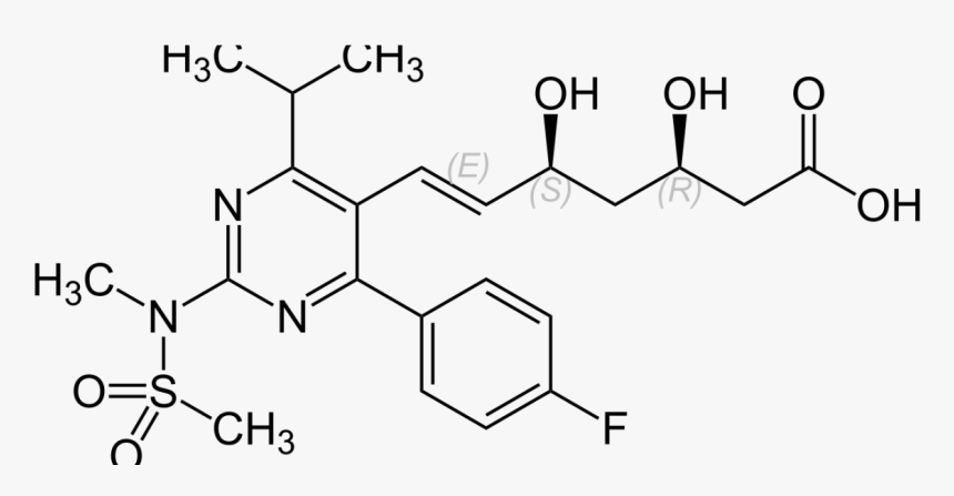 Do Statins Really Work Who Benefits Who Has The Power - Rosuvastatin Metabolism, HD Png Download