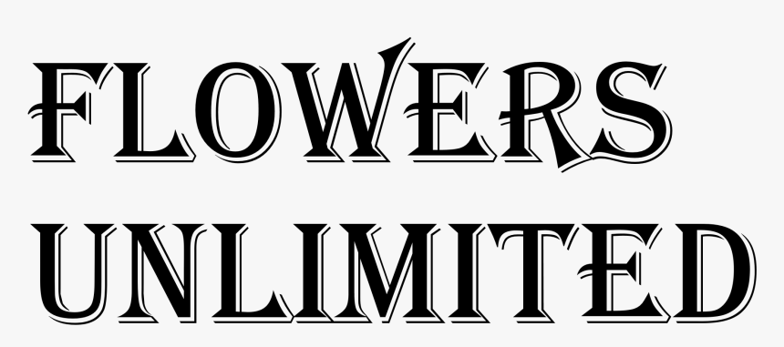 Domin Sport, HD Png Download