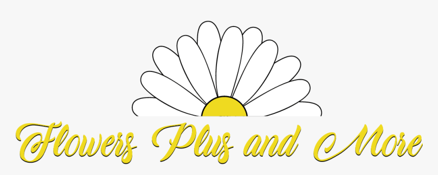 Flowers Plus & More Llc - Chamomile, HD Png Download