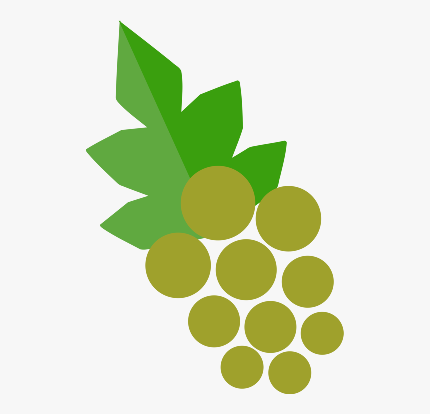 Botany,plant,leaf - Grape, HD Png Download
