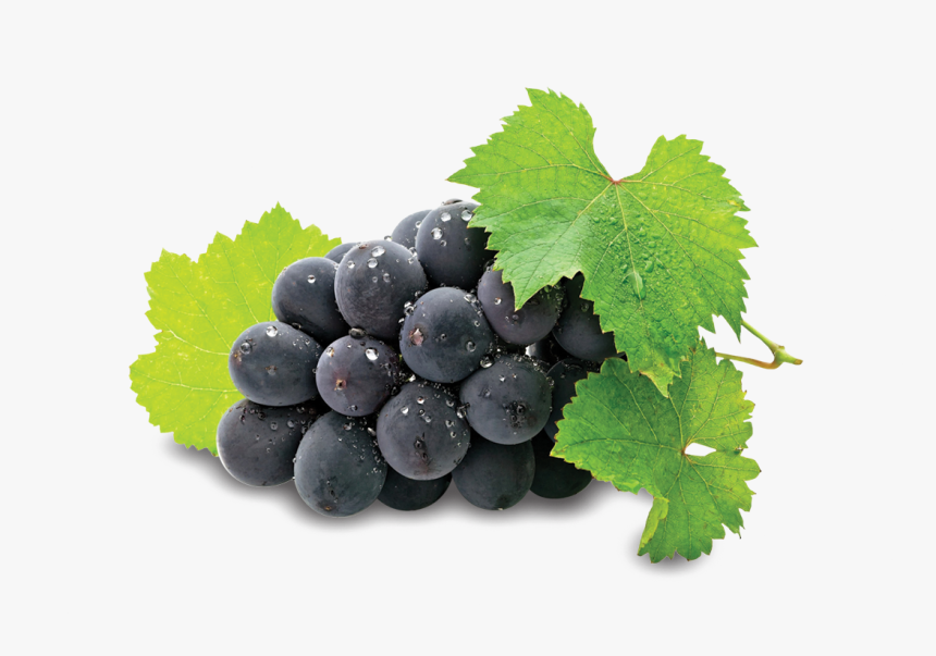 Grape Seed Extract Powder, HD Png Download