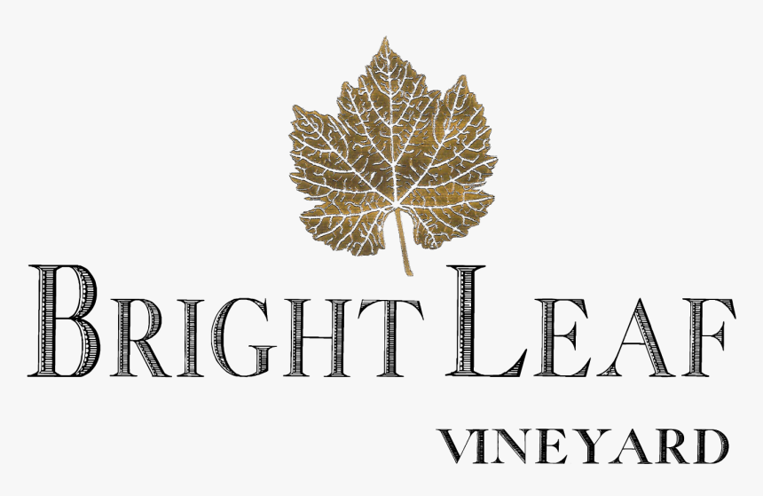 Logo Grape Leaves, HD Png Download