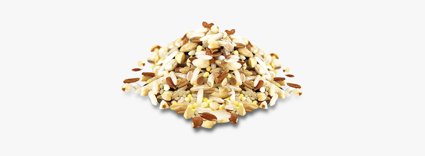 Seed, HD Png Download