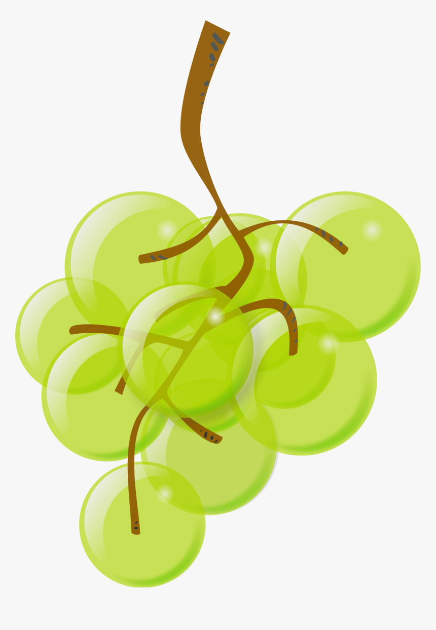 Plant,leaf,grapevine Family - Green Grape Clipart, HD Png Download