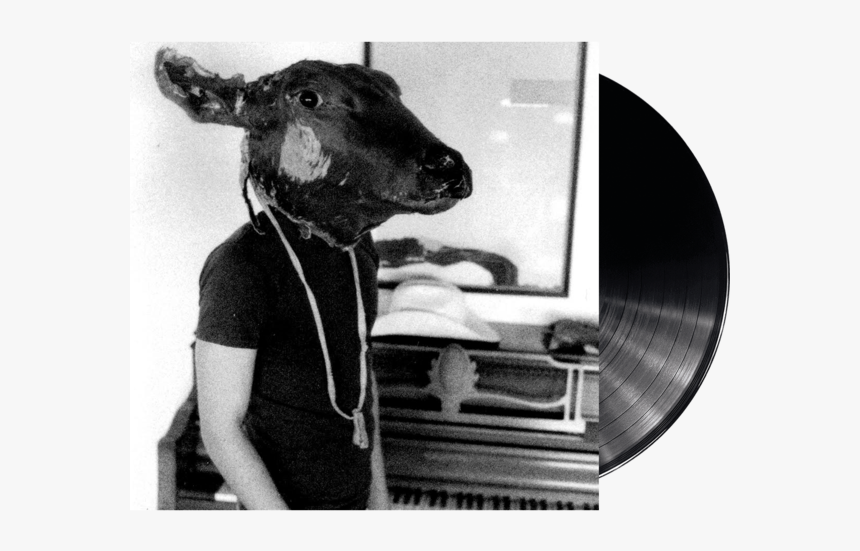 Shakey Graves Roll The Bones Vinyl - Shakey Graves Albums, HD Png Download