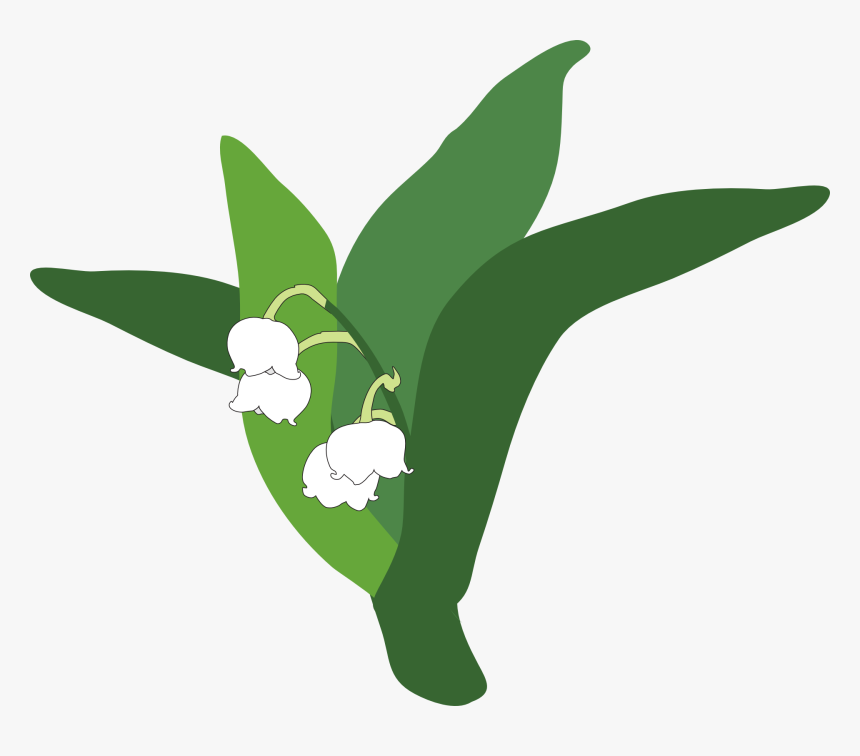 Download Lily Of The Valley Png Pic - Lirio Do Vale Png, Transparent Png