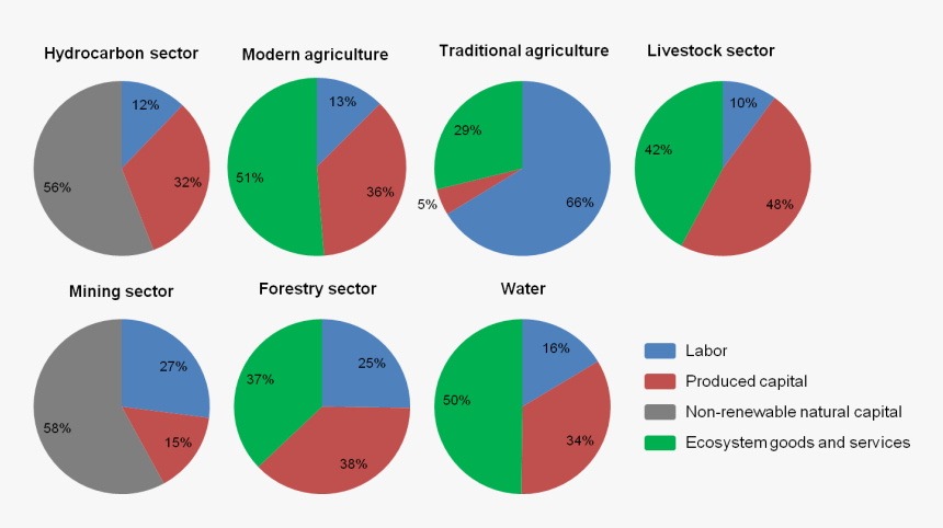 Edurite Worksheets For Kg1, HD Png Download