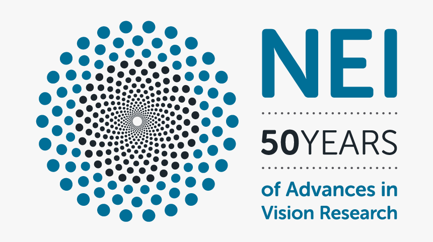 Circles In Circle Shape, HD Png Download