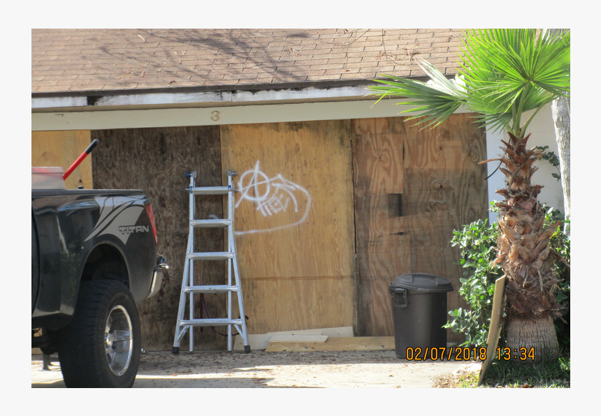 Saw Palmetto, HD Png Download