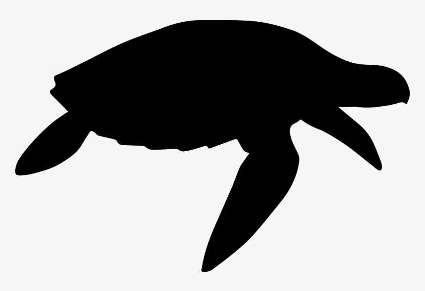 Convencion Sobre La Conservacion De Las Especies Migratorias, HD Png Download