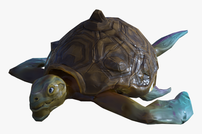 Primordialturtleicon - Tortoise, HD Png Download