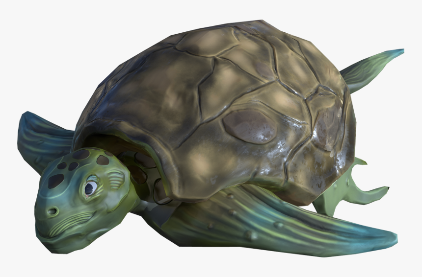 Tortoise, HD Png Download