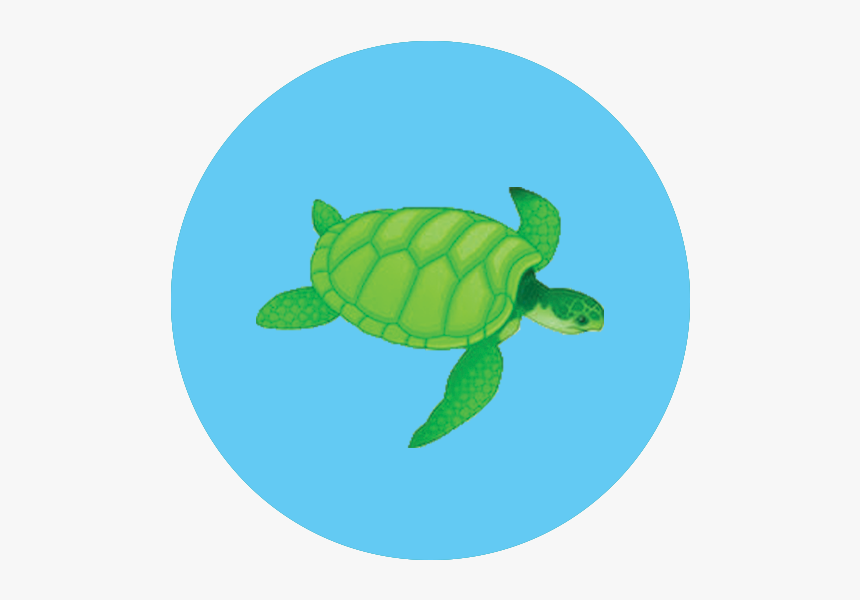 Sea Turtle Icon - Green Sea Turtle, HD Png Download