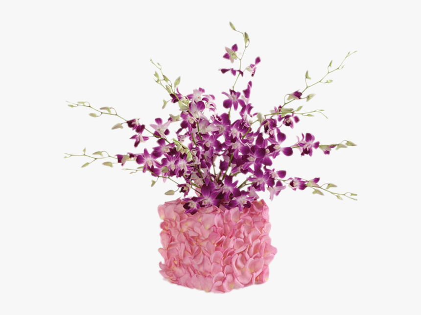 Flower Of Rome, HD Png Download