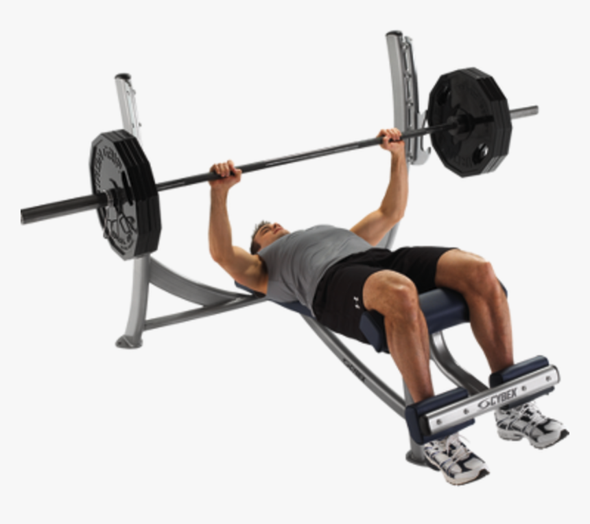 Cybex - Cybex Decline Bench Press, HD Png Download