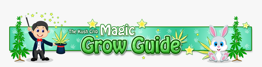 Grow Shop, HD Png Download