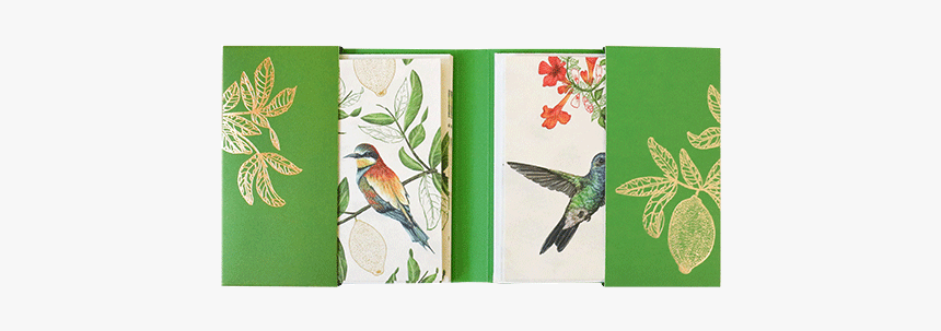 Eden Project Notecard Set 
 Title Eden Project Notecard - Craft, HD Png Download