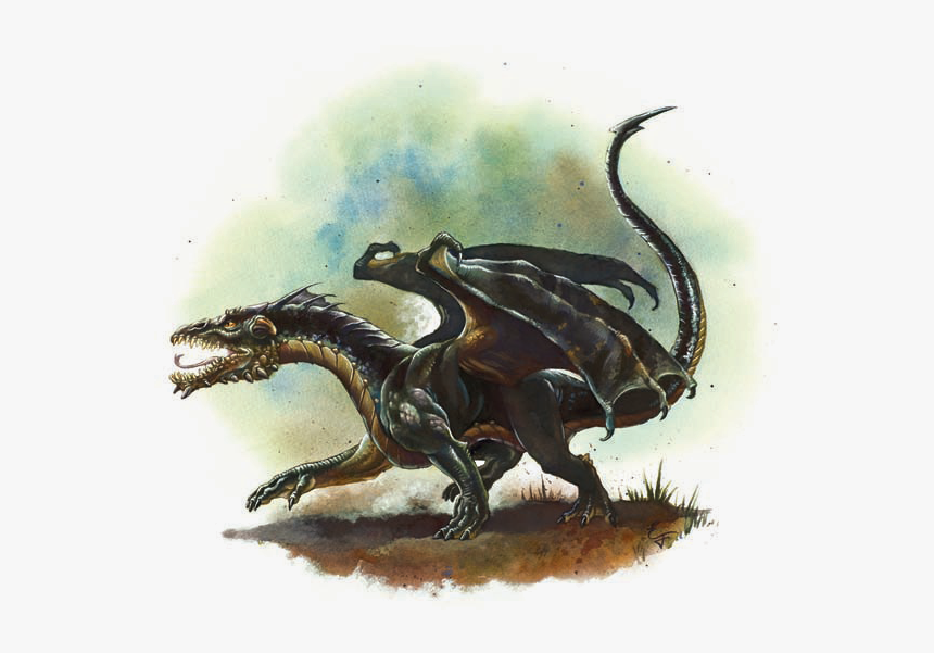 Dragons - D&d 5e Black Dragon Wyrmling, HD Png Download
