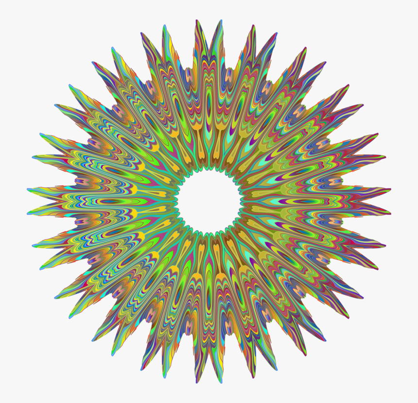 Line,circle,symmetry - Orthopaedics And Spine Specialist Hospital, HD Png Download