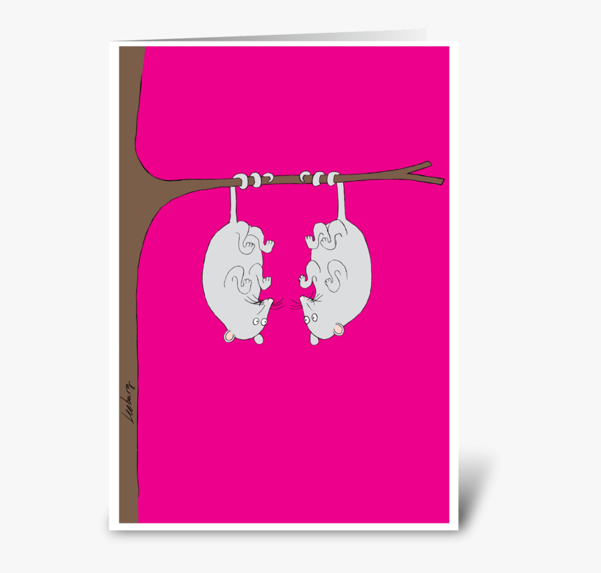 Hanging Possums Note Card Greeting Card - Illustration, HD Png Download
