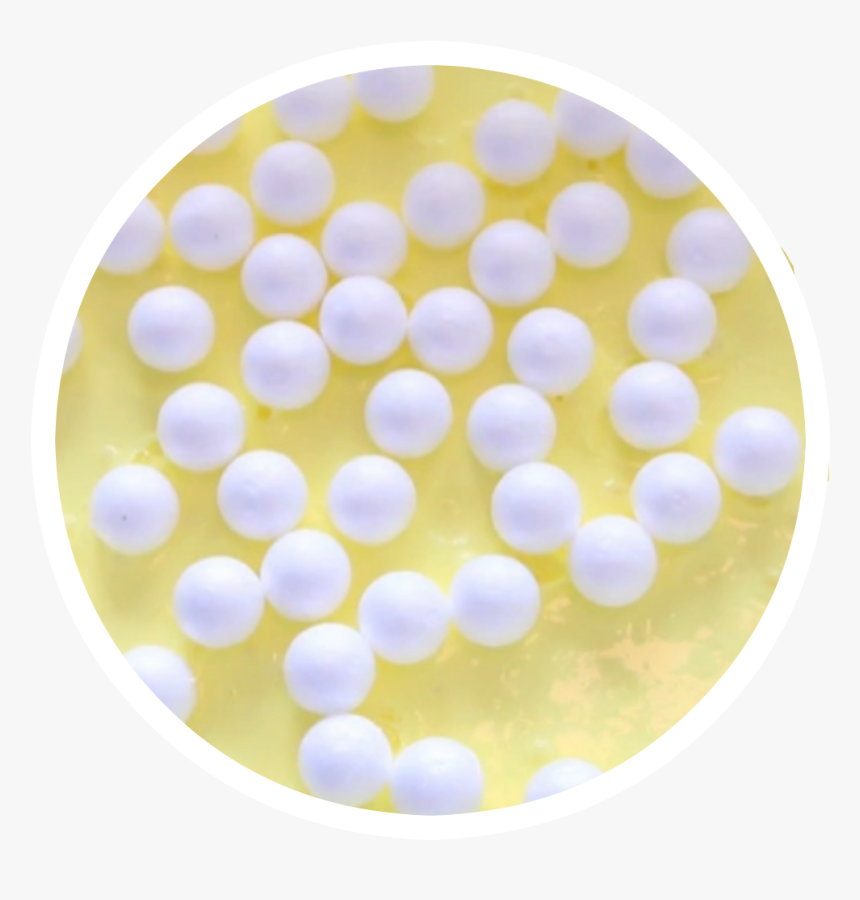 Transparent Twinkie Png - Circle, Png Download