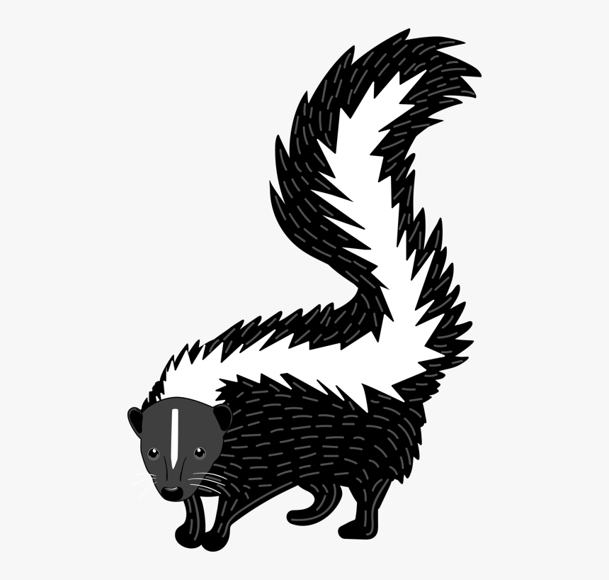 Skunk Clipart Woodland Creature - Illustration, HD Png Download