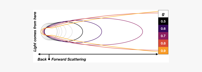 Circle, HD Png Download