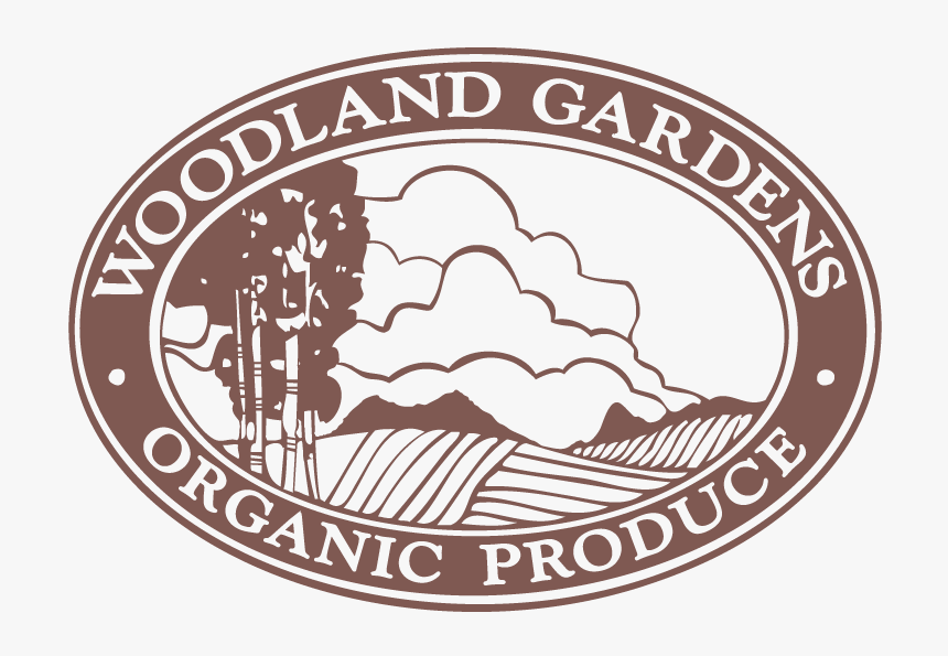 Woodland - Illustration, HD Png Download