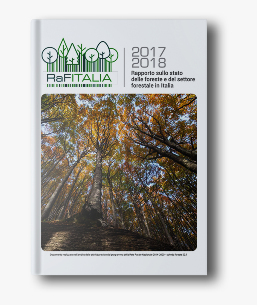 Schede Sulle Foreste, HD Png Download