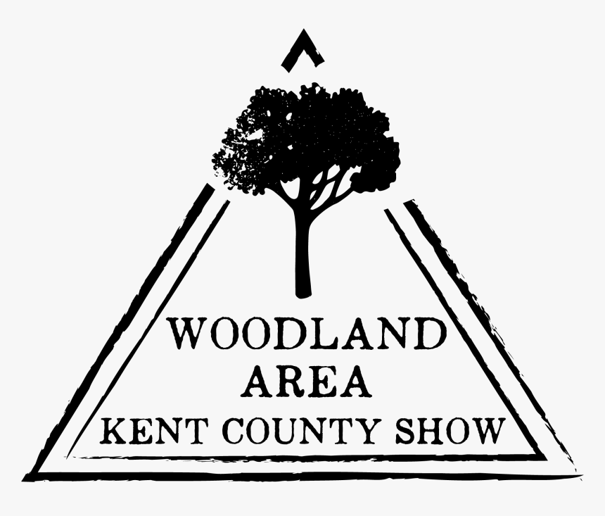 Evolution Of Zip Line, HD Png Download