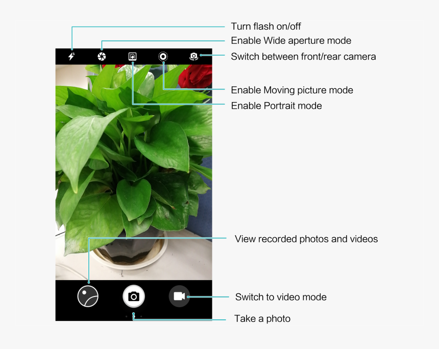 Flowerpot, HD Png Download