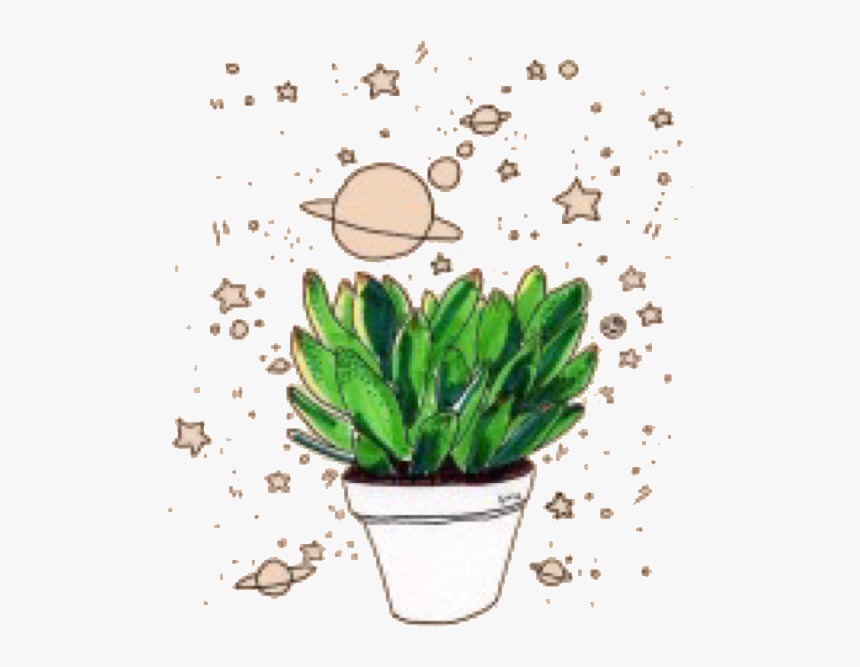 Houseplant, HD Png Download