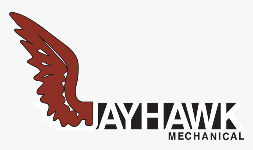 Bird, HD Png Download