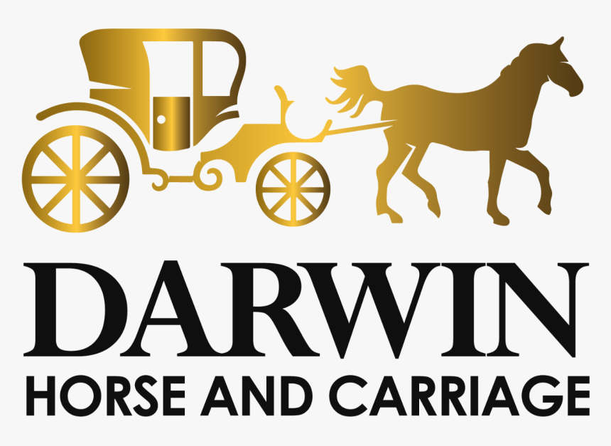 Darling Hair Logo Png, Transparent Png