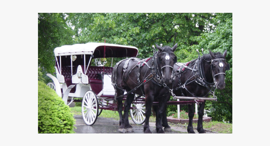 Horse Drawn Carriages - Horse And Buggy, HD Png Download