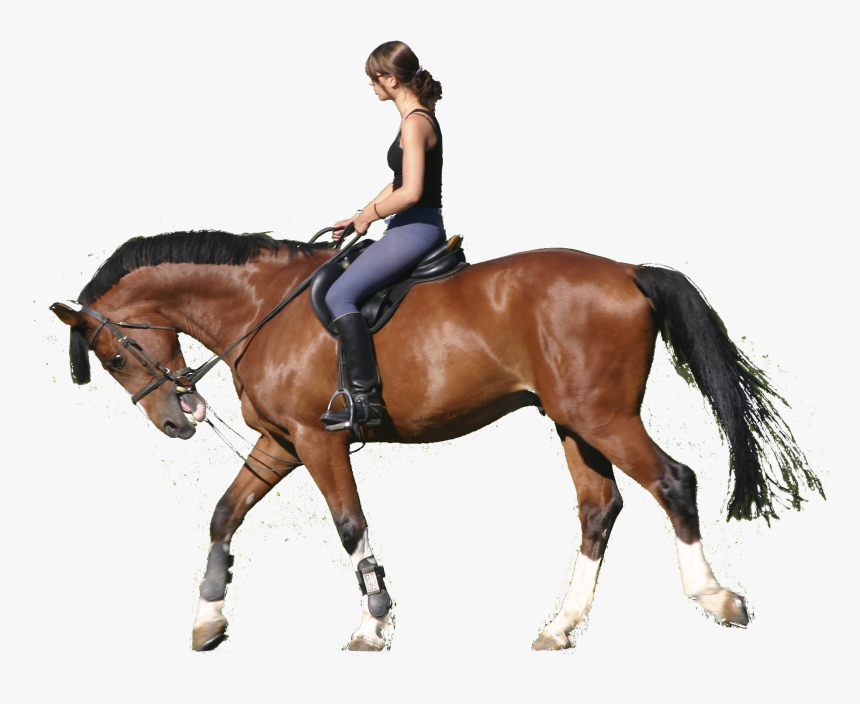 Horse Rider Cut Out, HD Png Download