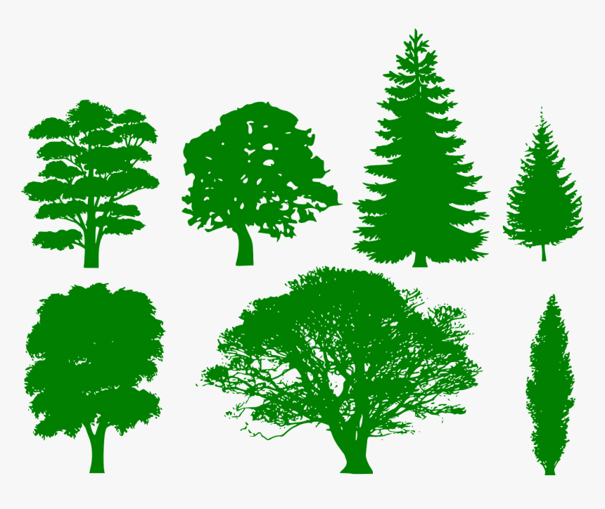 Various Tree Shape Silhouettes - Tree Shape, HD Png Download