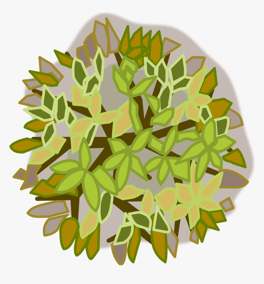 Tree Big Image Png - Tree Top View Design, Transparent Png