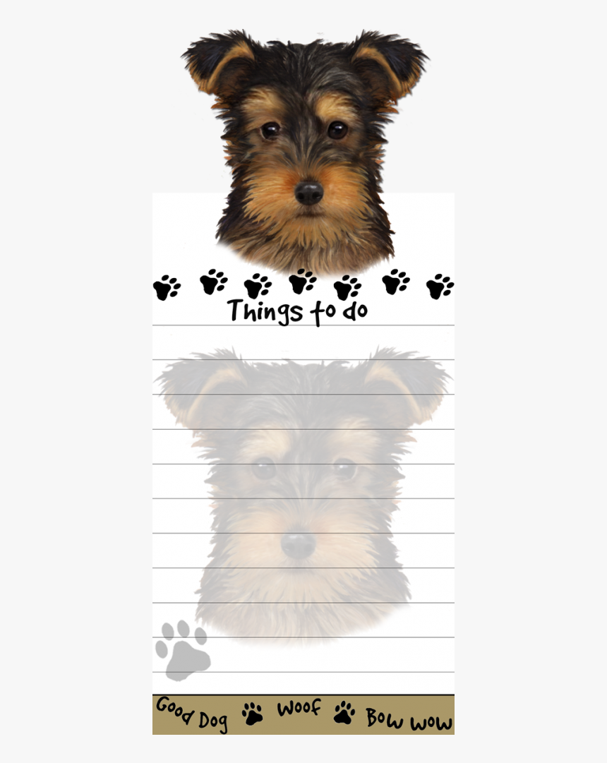 Yorkie Pup - Yorkshire Terrier, HD Png Download