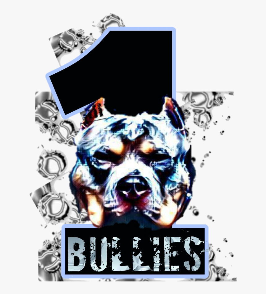 Image1 - Boxer, HD Png Download