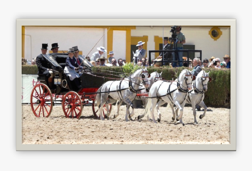 Restoration Presentation Phaeton - Horse And Buggy, HD Png Download